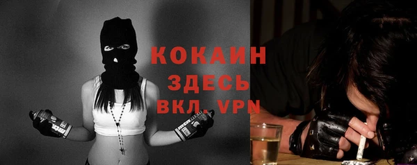 гашиш Богданович