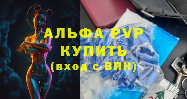 гашиш Богданович