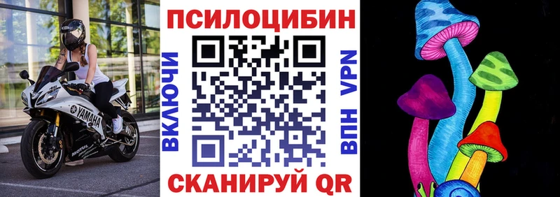Галлюциногенные грибы MAGIC MUSHROOMS  магазин продажи   Мезень 